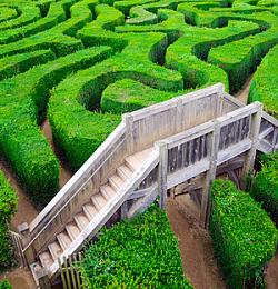 Engineering Process Day `17: Strategien für die Digitalisierung