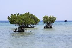 Was uns die PLM-Geschichte über Future PLM lehrt