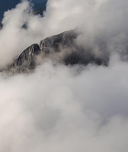 Warum findet Cloud PLM so wenig Anklang?  